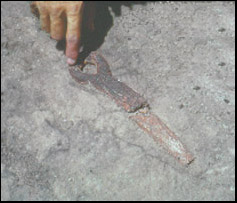 Excavated bone shaft straightner  at Murray Springs. (C. V. Haynes)
